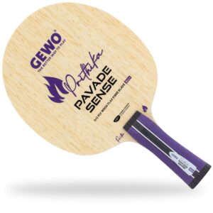 GEWO Battræ Prithika Pavade Sense All+